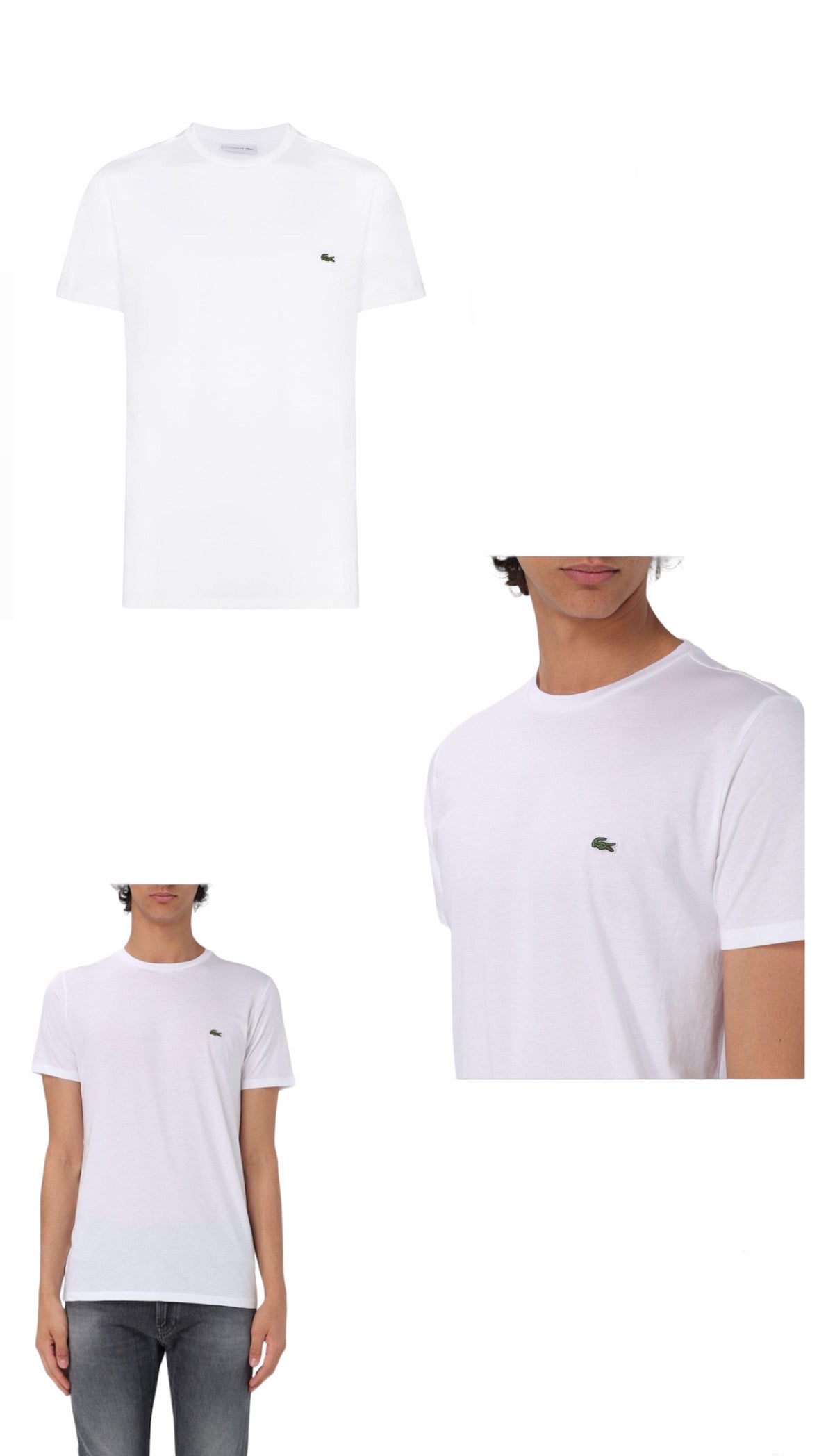 Lacoste Basic