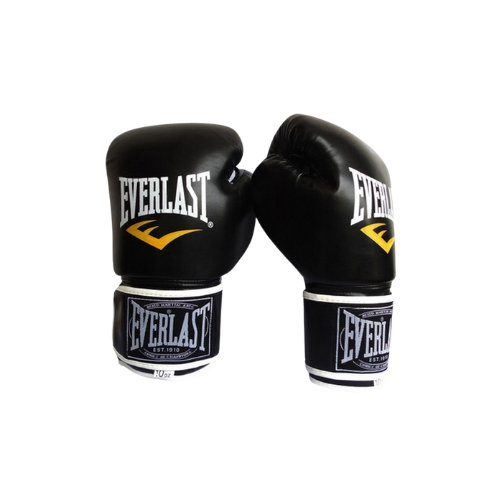 Guantes Boxeo Everlast